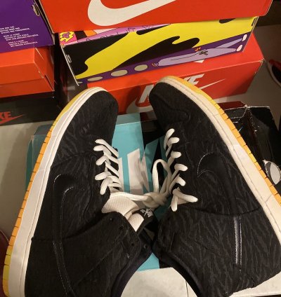 Rare Nike Sb Dunk Skunk High
