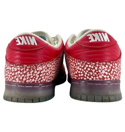 Dunk Sb Low Stingwater Magic Mushroom