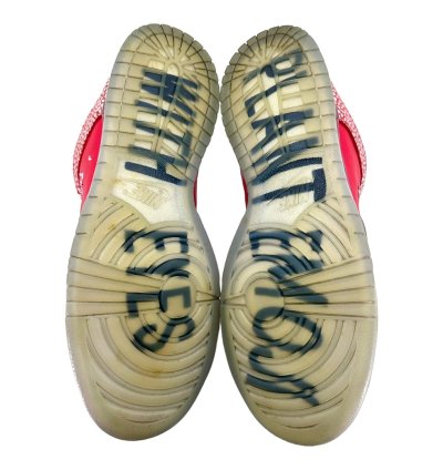 Dunk Sb Low Stingwater Magic Mushroom