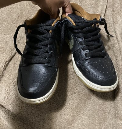 Size 9- Nike Sb Dunk Low Rain 2013