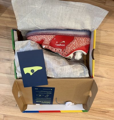 Sting Water Nike Sb Dunk Low