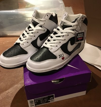 Supreme Nike Sb Dunk High By Any Means