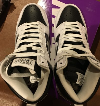 Supreme Nike Sb Dunk High By Any Means