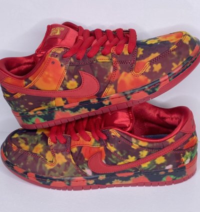 The Wizard Of Oz Nike Sb Dunk Low Poppy Field