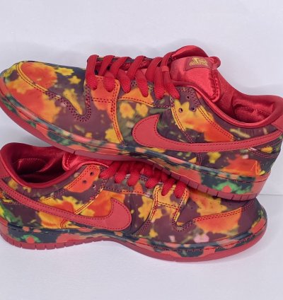 The Wizard Of Oz Nike Sb Dunk Low Poppy Field