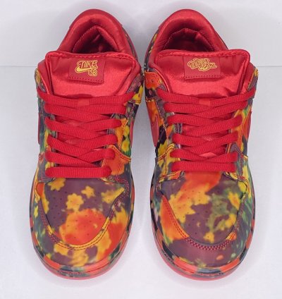 The Wizard Of Oz Nike Sb Dunk Low Poppy Field