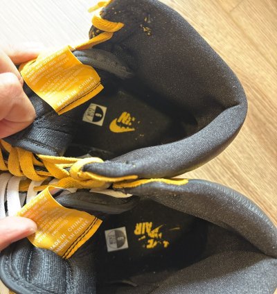 Jordan 1 High Pollen 2021