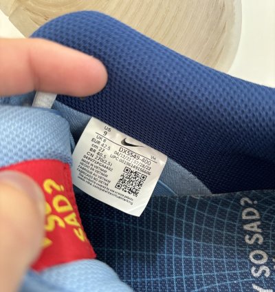 Why So Sad Nike Sb Dunk