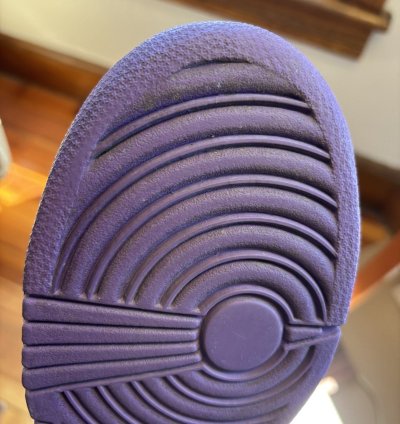 Nike Dunk Low Pro Sb Purple Pigeon 2006