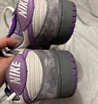 Nike Dunk Low Pro Sb Purple Pigeon 2006