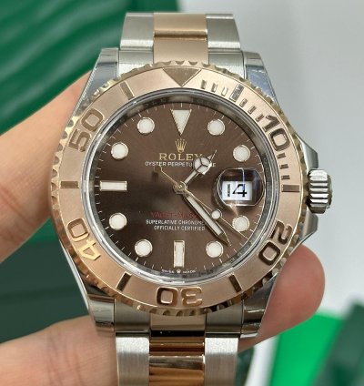 Rolex Yacht-master 40 Chocolate Dial