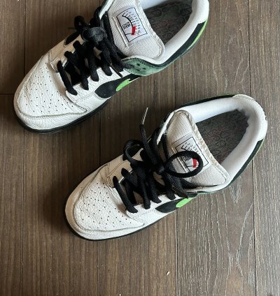 Nike Dunk Sb