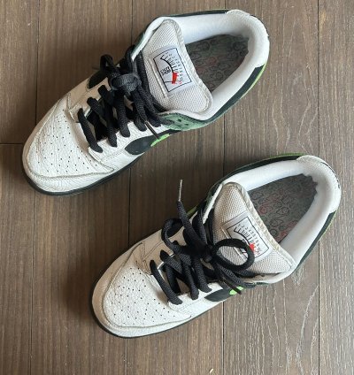 Nike Dunk Sb