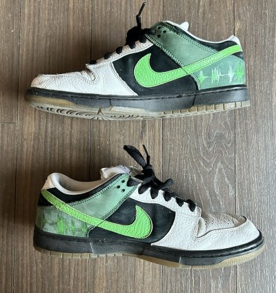 Nike Dunk Sb