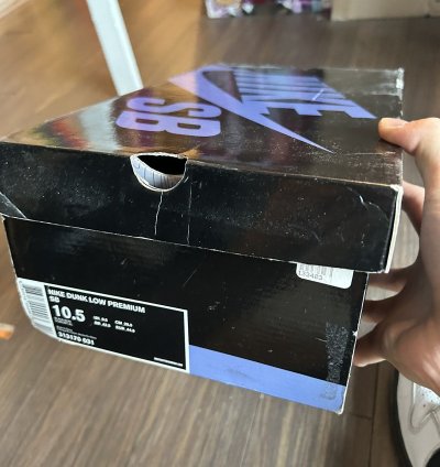 Nike Dunk Sb