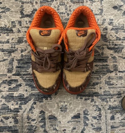 Nike Dunk Sb Hunter
