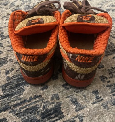 Nike Dunk Sb Hunter