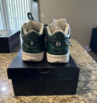 Nike Kobe 4 Undefeated Bucks