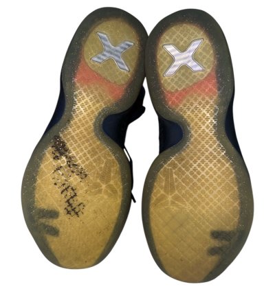 Kobe 10 Elite American