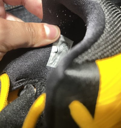 Kobe 5 Bruce Lee Protro