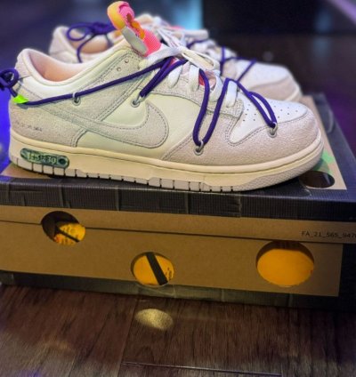 Nike Off-white Dunks Lot 15