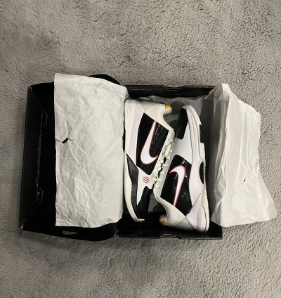Kobe 5 Protro Alternate Bruce Lee