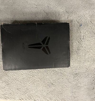 Kobe 5 Protro Alternate Bruce Lee