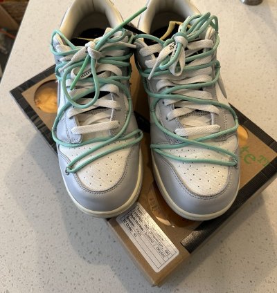 Nike Off-white Dunks Lot 4