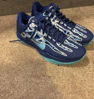Kobe 5 Ray