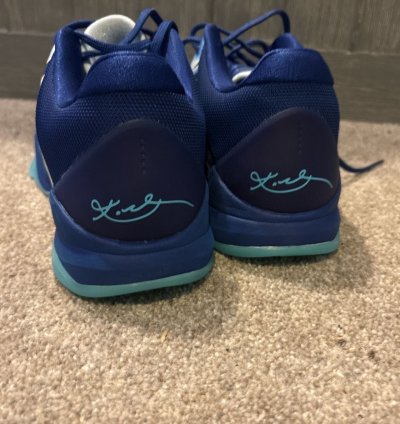 Kobe 5 Ray