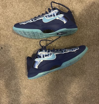 Kobe 5 Ray