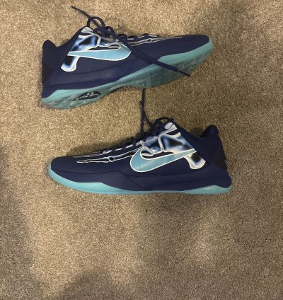 Kobe 5 Ray