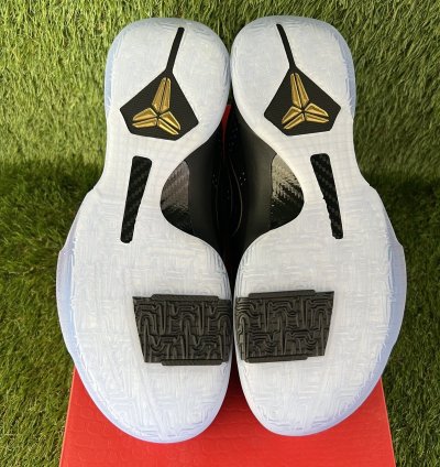 Kobe 5 Year Of The Mamba Eggplant