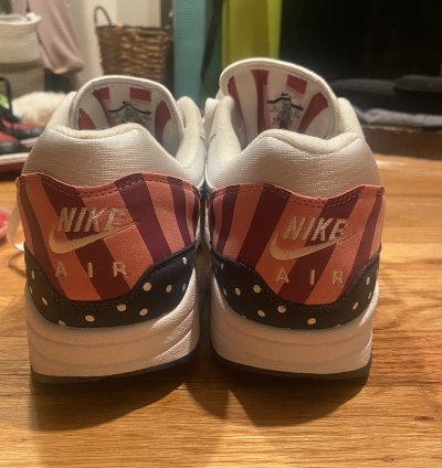 Nike Parra Air Max