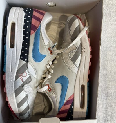 Nike Parra Air Max 1