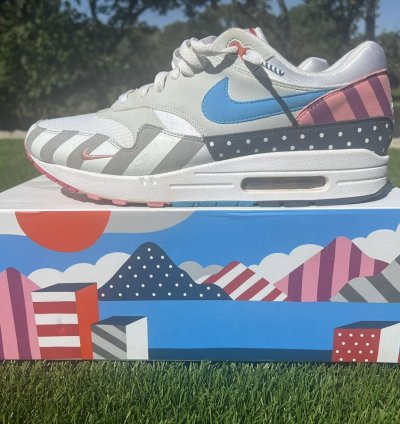 Nike Parra Air Max 1