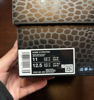 Kobe 6 Protro Dodgers