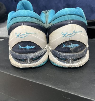Kobe 7 Sharks