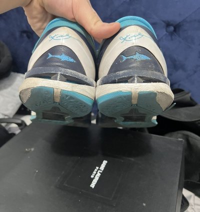 Kobe 7 Sharks