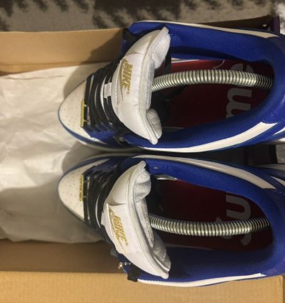 Nike Sb Blue Supreme Lows