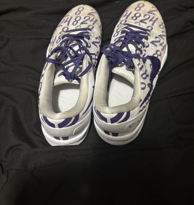 Kobe 8 Court Purple