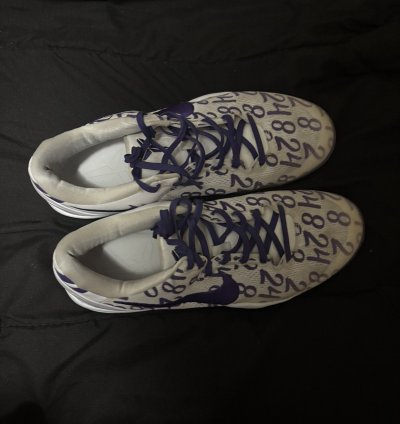 Kobe 8 Court Purple