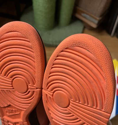 Nike Sb Concepts Orange Lobster