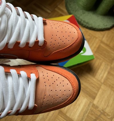 Nike Sb Concepts Orange Lobster