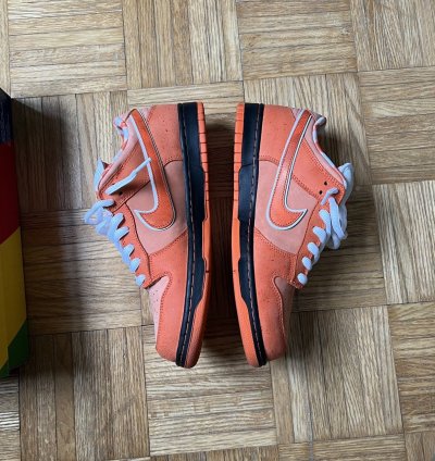 Nike Sb Concepts Orange Lobster