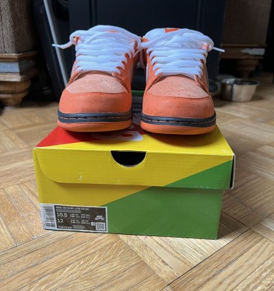Nike Sb Concepts Orange Lobster