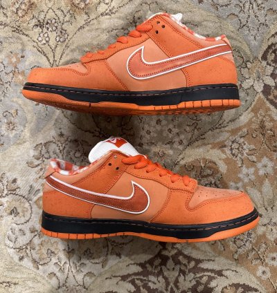 Nike Sb Concepts Orange Lobster 12