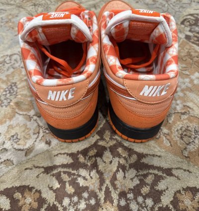 Nike Sb Concepts Orange Lobster 12