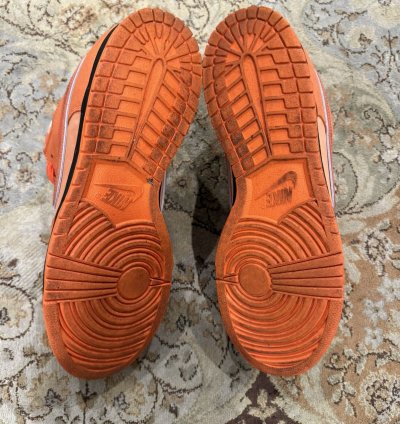 Nike Sb Concepts Orange Lobster 12