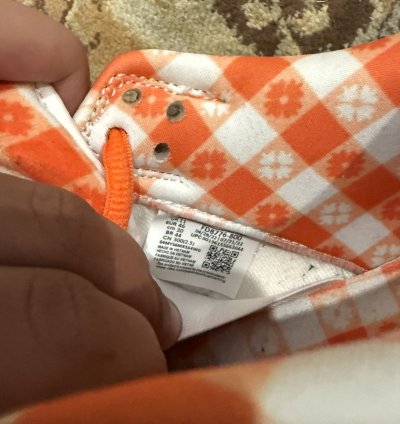 Nike Sb Concepts Orange Lobster 12